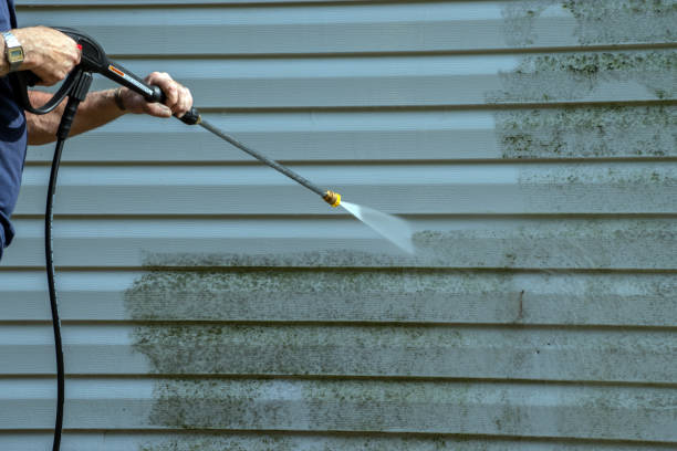 Best Deck Cleaning Services  in Benton Heights, MI